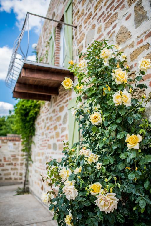 Rosemarino Country House 초르노모르스크 외부 사진